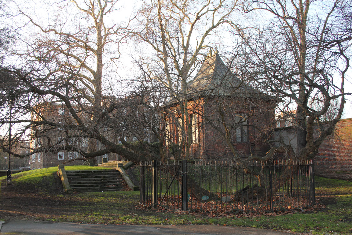 Mulberry Tree House - Charlton Park Academy