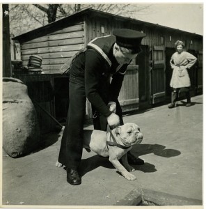 In the kennels