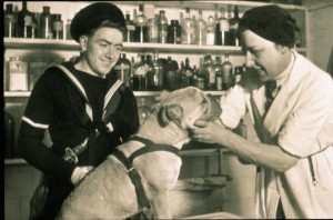 Inside Blue Cross Kennels