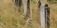  Conservation grass area