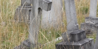 Conservation grass area