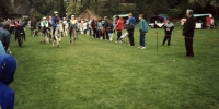 Donkey Derby, the start.