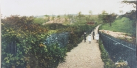 Hanging Wood Lane, 1905