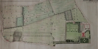 Reynolds plan detail